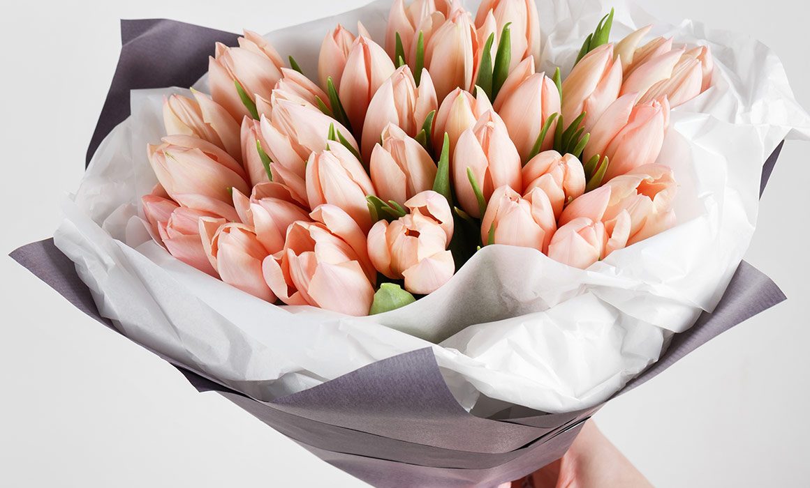 Precious Peach Tulips