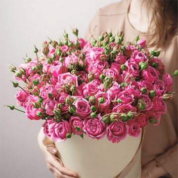 Poetry in Pink