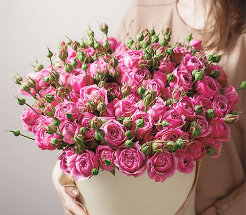 Poetry in Pink